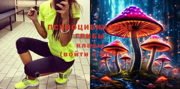 соль курить ск Богородицк