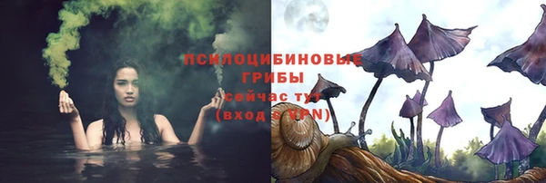 бутират Богданович