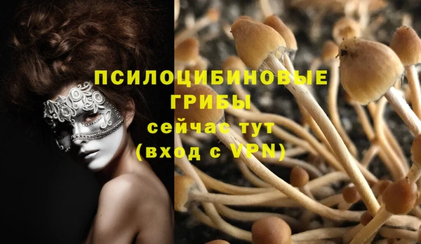 ПСИЛОЦИБИНОВЫЕ ГРИБЫ Богородск