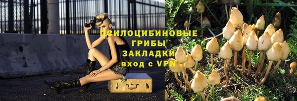 ПСИЛОЦИБИНОВЫЕ ГРИБЫ Богородск
