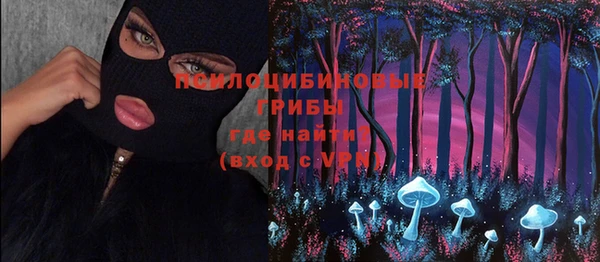 бутират Богданович